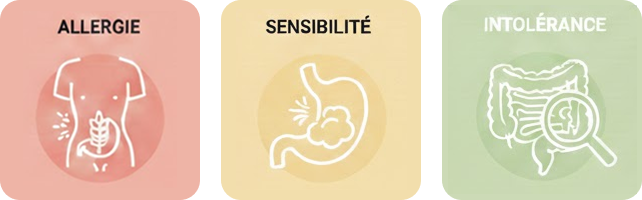 Différencier allergie, sensibilité et intolérance
