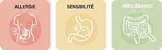 Différencier allergie, sensibilité et intolérance
